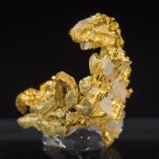 Gold with Quartz