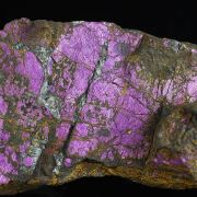 Purpurite