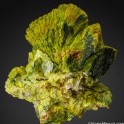 Autunite