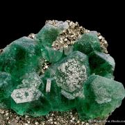 Fluorite on Pyrite