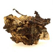 Kongsbergite (Silver var.).