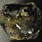 Phlogopite