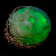 Quartz var. Chalcedony