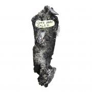 Goethite pseudomorph after Calcite with Goethite and “Onegite”