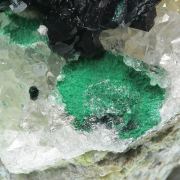 Paratacamite (rare) with Malachite