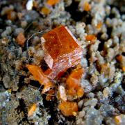 Wulfenite