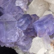 Fluorite with Calcite