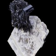 Tantalite on Muscovite with Schorl