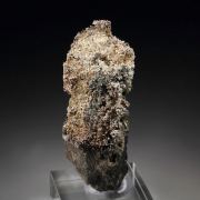 SILVER - SPINEL LAW TWIN