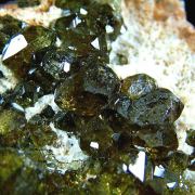 Andradite, var. Topazolite