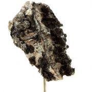 Calcite + Palygorskite . 1772.0 ct.