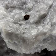 Bastnäsite + Allanite.