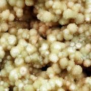 Boracite, Hilgardite