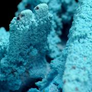 Chrysocolla, malachite, pseudo. after azurite