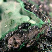 Heterogenite with Malachite