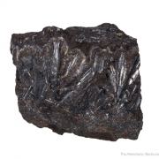 Cylindrite