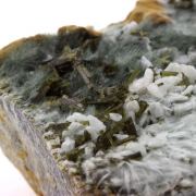 Epidote + Albite + Byssolite. 950.0 ct.