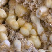 Mimetite with Smithsonite