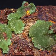 Austinite (variety cuprian)