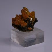 WULFENITE and MIMETITE - San Francisco Mine, Mexico