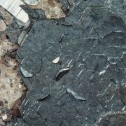 Hematite with Quartz (variety smoky)