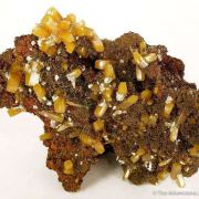 Wulfenite With Calcite