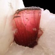 Rubellite Tourmaline on Quartz