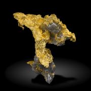 Gold with Quartz