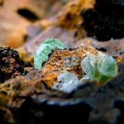 Green Anglesite with Cerussite