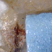 Geikielite on Lizardite