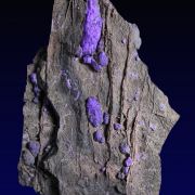 Sugilite with Aegerine