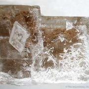 Inyoite With Meyerhofferite