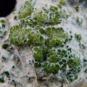 Andradite var. Demantoid
