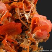 Wulfenite
