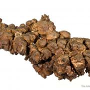 Copper (several generations)