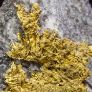 Gold with Quartz and Sphalerite