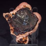 Rhodochrosite with Hisingerite-Neotocite (Series)