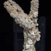 Calcite (variety kanonenspat) with Chlorite and Prehnite