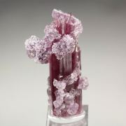 gem TOURMALINE var. ELBAITE, LEPIDOLITE