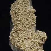 Quartz with Siderite and Muscovite