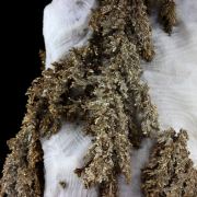 Native Silver. 810.5 ct.