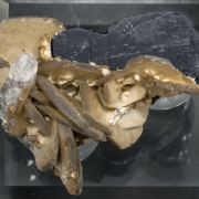 Siderite with Ferberite and Quartz