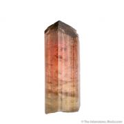 Liddicoatite Tourmaline