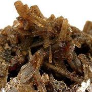 Childrenite (2 Habits!)