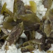 Siderite with Quartz and Chalcopyrite