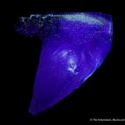 Fluorite (etched corner)