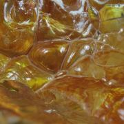 Opal / (variety - “Opal-AN”) / (variety - “Hyalite Opal”) / (“Blood Vessel Opal”)