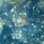 Vauxite with Paravauxite and Childrenite