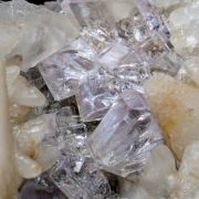 Fluorite with Calcite
