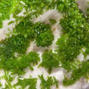 Pyromorphite on Calcite